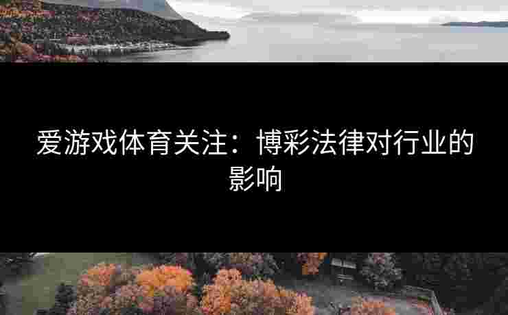 爱游戏体育关注：博彩法律对行业的影响